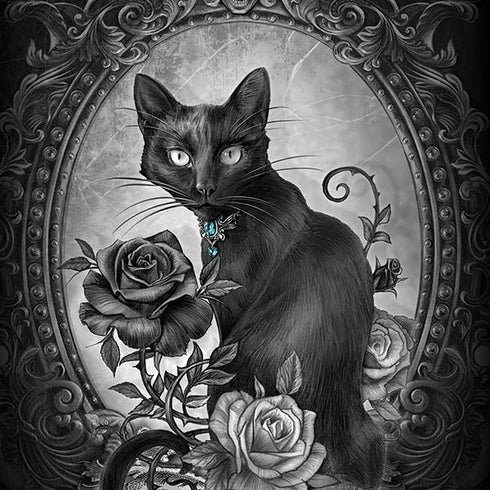 Alchemy Paracelsus - The Philosophers Familiar Universal Laptop 11in (8.8 x 6.2in) Skin